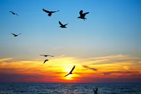 千头万绪切莫乱，沉住气，择善而行图片