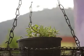 退休后跳了3年广场舞，58岁女人：一场黄昏恋，差点损失一套房图片