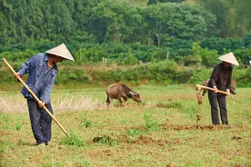 全国人大代表欧阳华：建议为被征地农民增加农村村民住宅补偿和社会保障图片