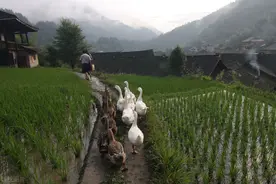 湖南新化县有哪些代表人物呢，您了解吗？图片