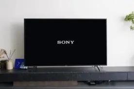 早买早享受，索尼大法X8000H上手一月谈，主要说说画质和系统图片