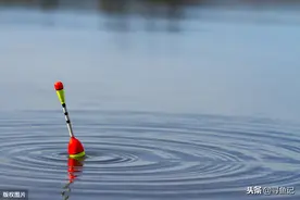 为什么鱼口越快浮漂调目越低？详解钓行程打截口浮漂翻身点的设定图片