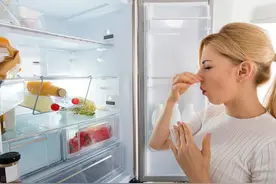 断电后的冰箱，打开后差点让我窒息图片