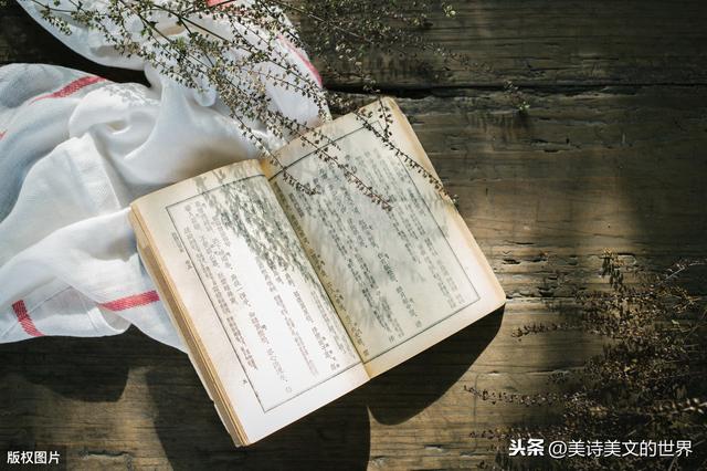 半江瑟瑟半江红全诗（半江瑟瑟半江红中的瑟瑟到底何意诗词大会难住55位高手）