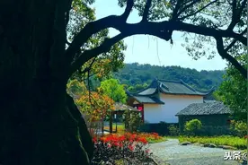 黑人的皮肤是晒黑的？当然不是这样，那么究竟是怎么回事呢？图片