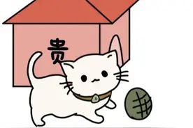 漫画说纪 | 陌生微信好友送来的猫图片