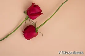 中小学教师申报高级教师工作总结样板（个人材料仅供参考）图片