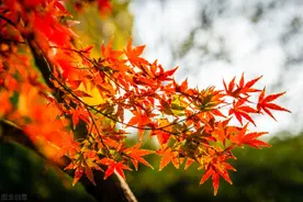 相爱不能相守，余生是相忘于江湖，还是画地为牢原地痴等？图片