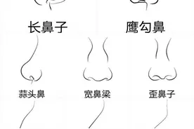 千奇百怪的鼻子，你是啥鼻？图片