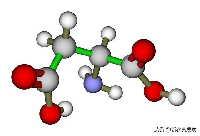 关注：为何你选用的氨基酸达不到预期效果？