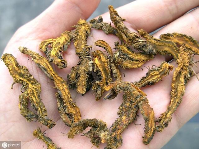 大动脉血管硬化怎么办