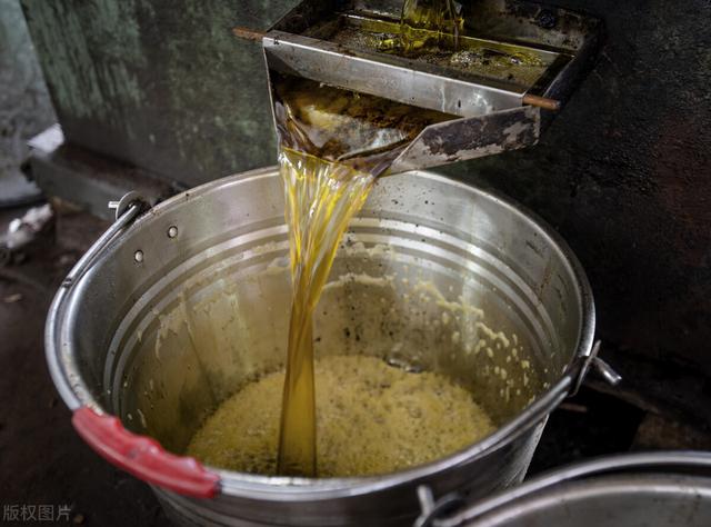 冷榨油符合人们健康生活的新理念,不少消费者在购买食用油时,不单比较