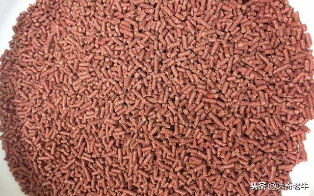 漫谈基础饵：高蛋白颗粒、开口料、能量料的钓鱼选择和避坑技巧