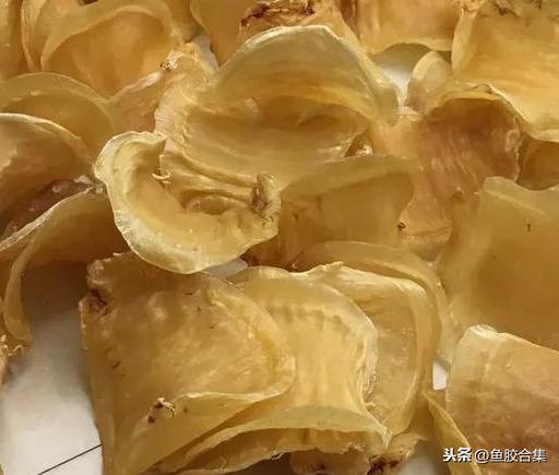 长长的是什么花胶 2026年细长的花胶