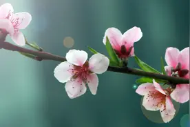民间借贷司法解释对于借款利息上限的规定真的存在“漏洞”吗？图片