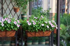 家有小院，4样东西别错过，利用率高，让院子更有格调图片