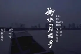 叶嘉莹：生活以痛吻你，你却报之以诗图片