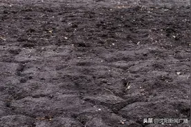 10年治理4000条侵蚀沟：我市打响黑土地保护战图片