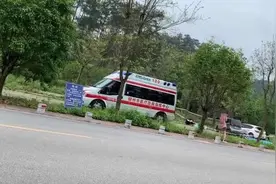 心痛！广西一对母女倒在车内，发现时已身亡图片