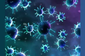 病毒依附在物体上有多长生命期？还是永远不会消亡，必须得消杀？图片