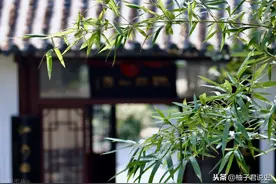 2021年高考生复习必备，高中历史全册思维导图集锦必修3图片