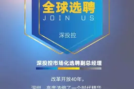 深投控副总经理市场化选聘公告图片