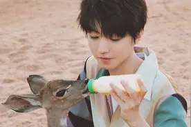 当王俊凯遇到小动物，眼里满是光芒，最喜欢最后一张图片