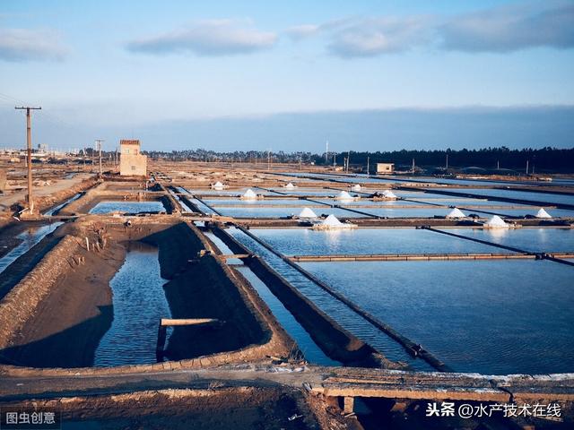 如何增强养殖鱼类的抗应激能力？养殖户须知