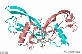 马尔可夫链的性质图片