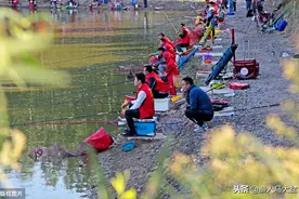 黑坑垂钓总是出现火箭口该怎么办？饵料状态以及灵顿都是关键之处图片