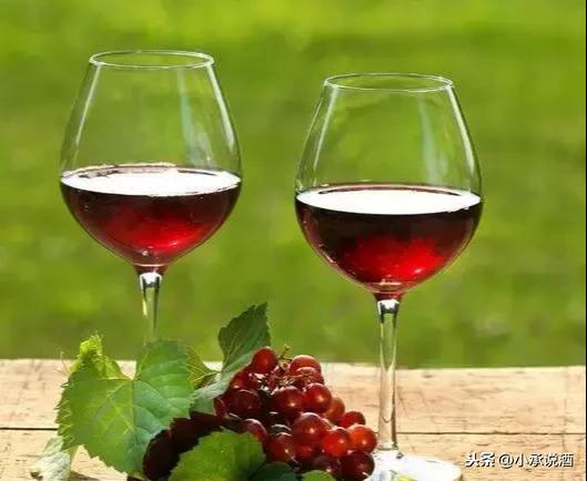 最全的酒知识，值得收藏