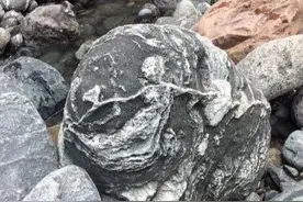 石友河滩上捡到一石头，有收藏家愿意20万买下，被拒图片