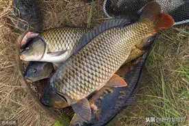 学会了这几招再也不怕脱钩跑鱼了，方法简单实用图片