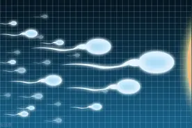 精子也分性别，母精子还比公精子强壮！这9个秘密你知道吗？图片