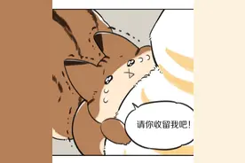 萌系漫画：松鼠通过装可怜完成自己的撸猫计划图片