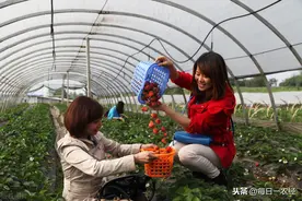 开办家庭农场要几亩地可以？需要什么条件才能注册？图片