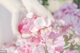 赏花、游园、摘果，洛阳孟津中线一日游线路可以这样设计图片