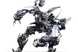 惩罚与奴役——变形金刚MPM-05路障图片