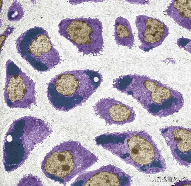 鐨偆鍚告敹鎶よ偆鍝佽惀鍏伙紝涓嶅彧鏄粏鑳炲惛鏀舵墠鏈夌敤