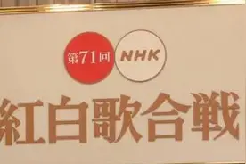 2020年红白歌会名单出炉，让我们盘点一下今年初登场艺人们图片
