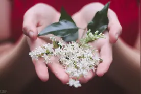 莫泊桑《修软椅垫的女人》：不要让你的生活为低层次的爱情买单图片