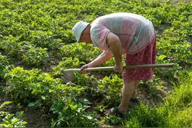 农村菜园大田专用微耕机，铸铁履带能装翻转犁播种施肥箱图片