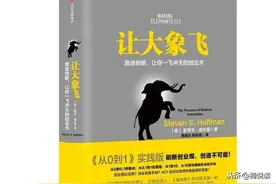 让大象飞：硅谷创业教父从3个方面教你创新，帮你打造成功的企业图片