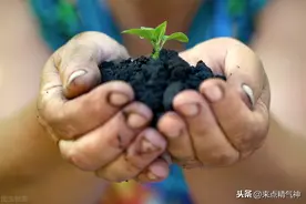 肚脐是先天脾胃经络系统的核心！挤压查脾胃健康！按摩肚脐有方法图片