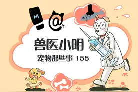 猫咪总喜欢把身体拉得老长，真是液体做的？骨骼清奇说的就是它们图片