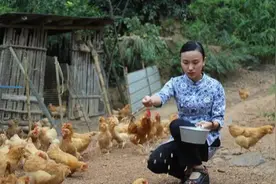 养鸡让人头疼的耐药性，你遇到过吗？如何防耐药，我给你这六招。图片