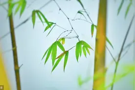 《黄帝内经》：越活越年轻，有4种迹象图片