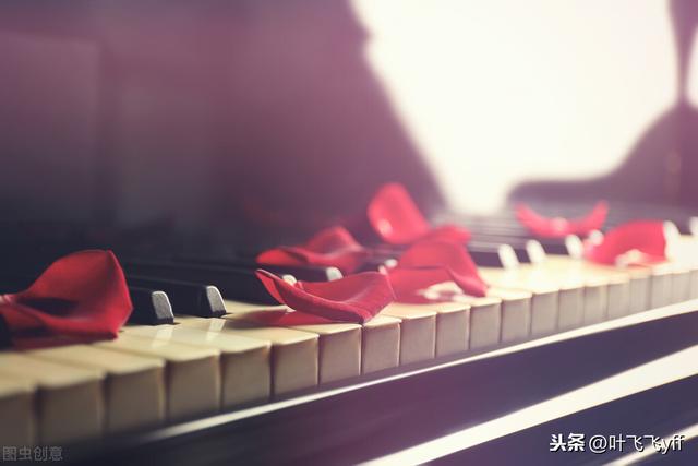 情感散文：镌刻在灵魂深处的《卡农》