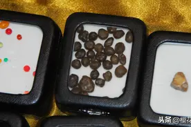 什么是舍利子？到底是神物还是化学结晶？图片