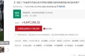 法拍好房分享：首地荣御花园 | 华侨城豪宅区 | 五折起拍图片
